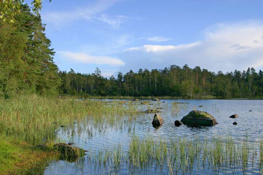 Природа Швеции
